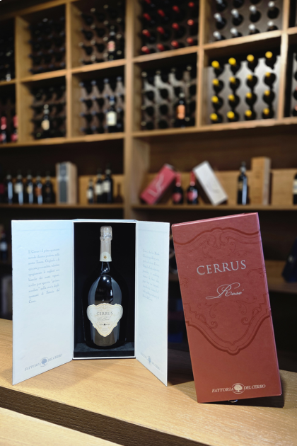 Cerrus Rosé Spumante Brut Metodo classico magnum