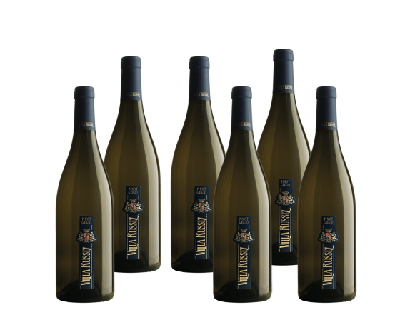 CARTONE DA 6 BOTTIGLIE Pinot Grigio 2024